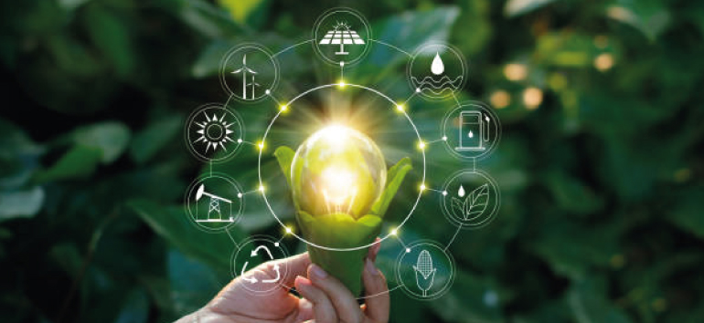 ISO 14001 Certification