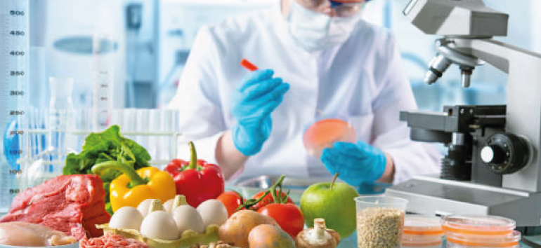 ISO 22000 Certification